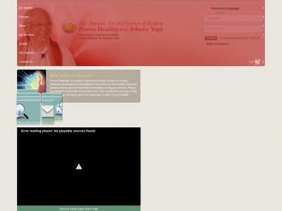 thepranichealers.com snapshot
