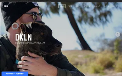 dklnaa.weebly.com snapshot