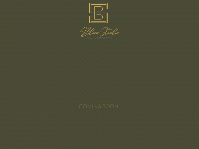 bloomstudiospa.com snapshot