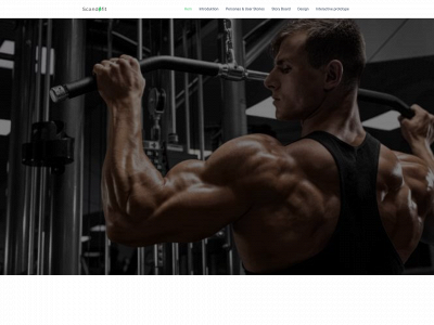 scandifit.nu snapshot