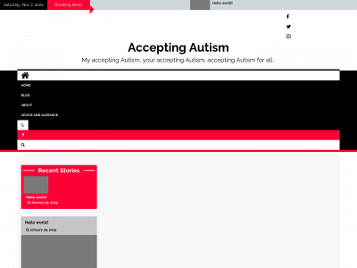 acceptingautism.com snapshot