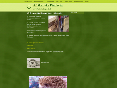 pindsvin-haycock.dk snapshot