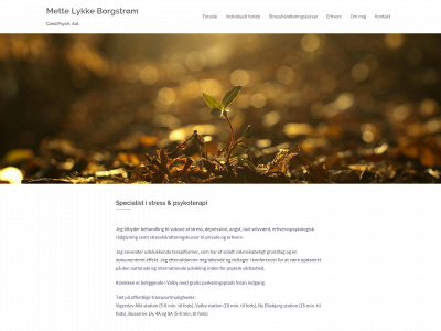 stresspsykolog-mette.dk snapshot