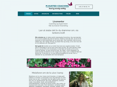 mhusted.dk snapshot