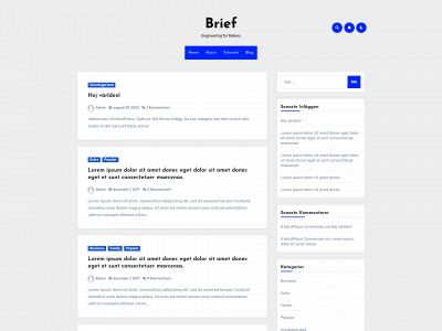briefengineering.com snapshot
