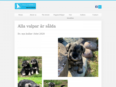 evalillkennels.com snapshot