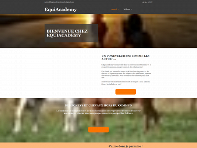 equiacademy.be snapshot