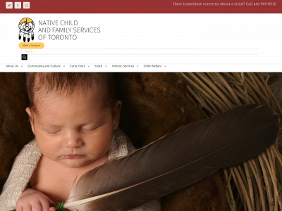 nativechild.org snapshot