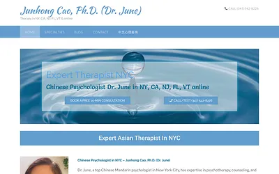 drjunhongcao.com snapshot