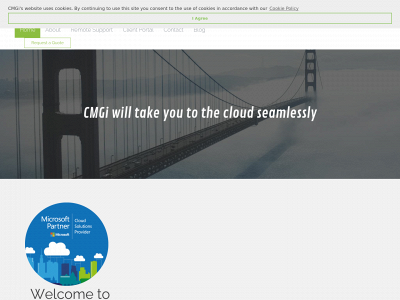 cmgi.ie snapshot
