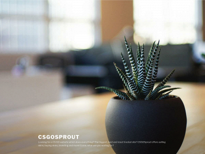 csgosprout.com snapshot