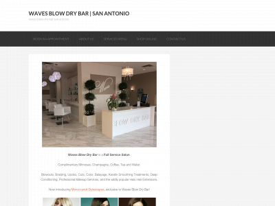 wavesblowdrybar.com snapshot
