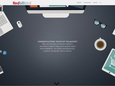 redbillbird.com snapshot