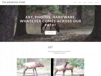 themountainstore.net snapshot
