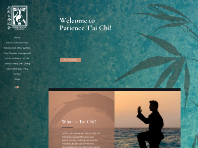 patiencetaichi.com snapshot