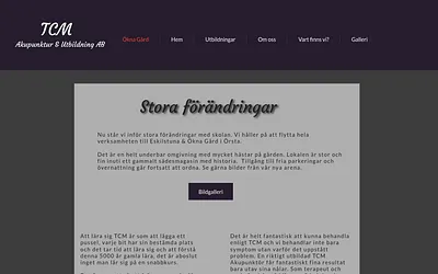 marietteakupunktur.se snapshot