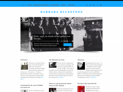 barbarabluestone.com snapshot