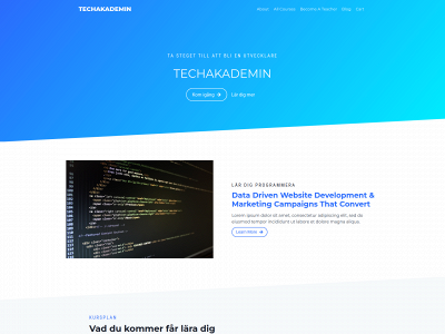 techakademin.se snapshot