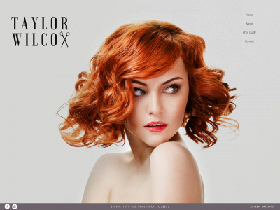 taylor-wilcox.com snapshot
