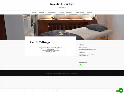 kinepraxisursula.ch snapshot