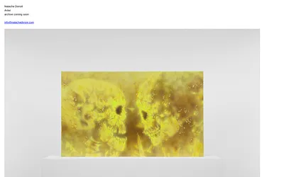 natachadonze.com snapshot