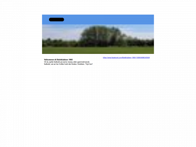b1960.dk snapshot