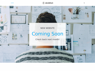 daviddruin.com snapshot