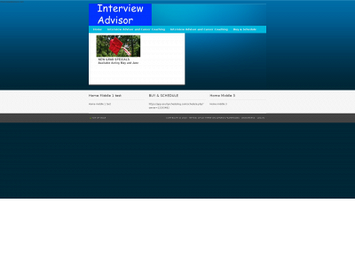 interviewadvisor.com snapshot