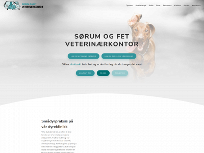 fetsundveterinar.no snapshot