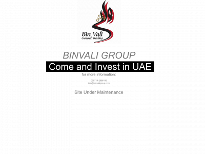 binvaligroup.com snapshot