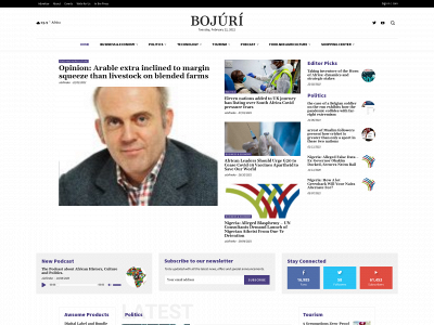 bojuri.com snapshot