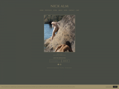 nickalm.com snapshot