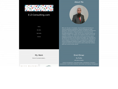 e-z-consulting.com snapshot