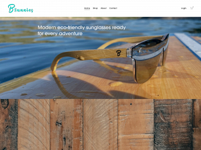 bsunnies.com snapshot