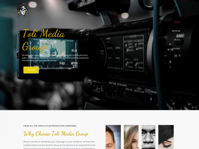 tolimediagroup.com snapshot