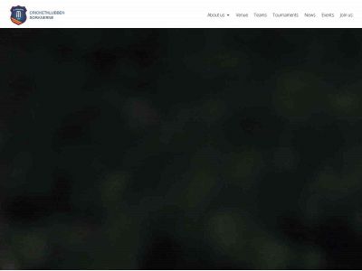 soranerne.dk snapshot