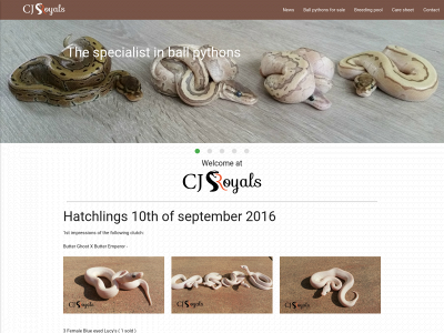cj-royals.nl snapshot