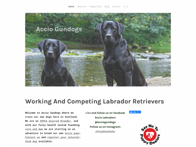 www.acciogundogs.com snapshot
