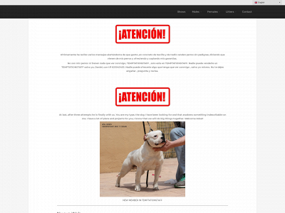 temptationstaff.com snapshot