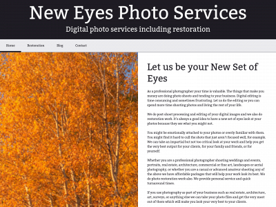 neweyesphoto.com snapshot