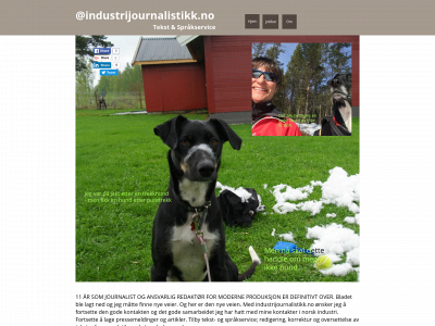 industrijournalistikk.no snapshot