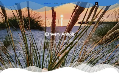 erhvervanholt.dk snapshot