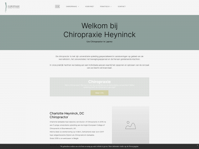 chiropraxieheyninck.be snapshot