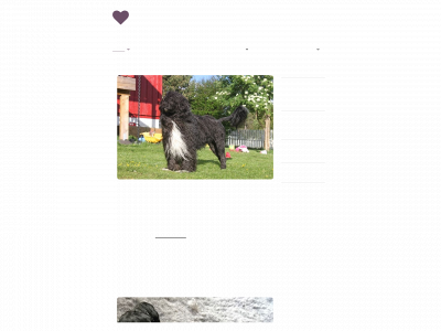 fjellportisen.com snapshot