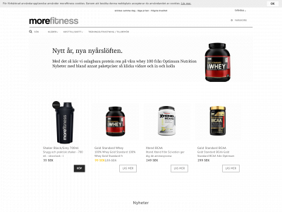 morefitness.se snapshot