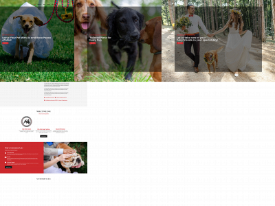citypetsgroup.com snapshot