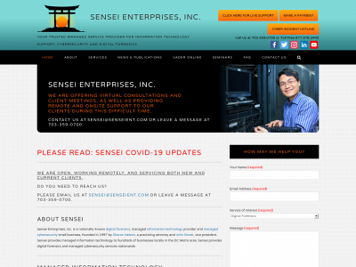 senseient.com snapshot