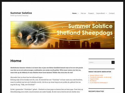 summersolstice.be snapshot