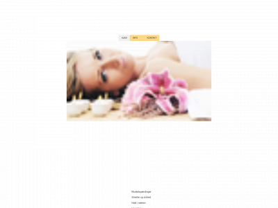skovby-thaimassage.dk snapshot