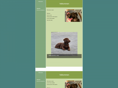 bigmarked.dk snapshot